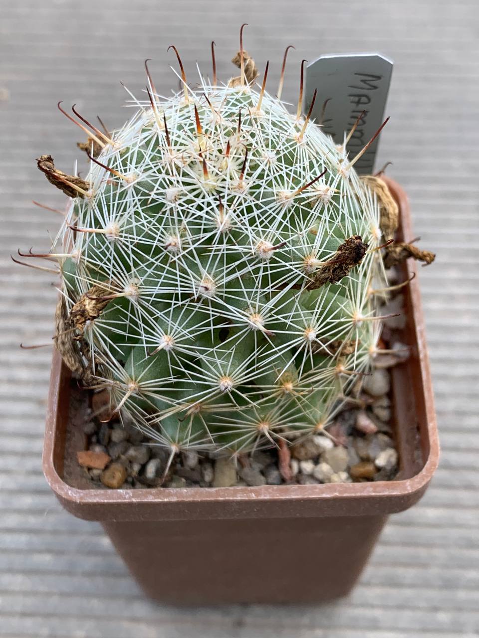 photo_15_2026-04-15_18-08-34 photo_15_2026-04-15_18-08-34