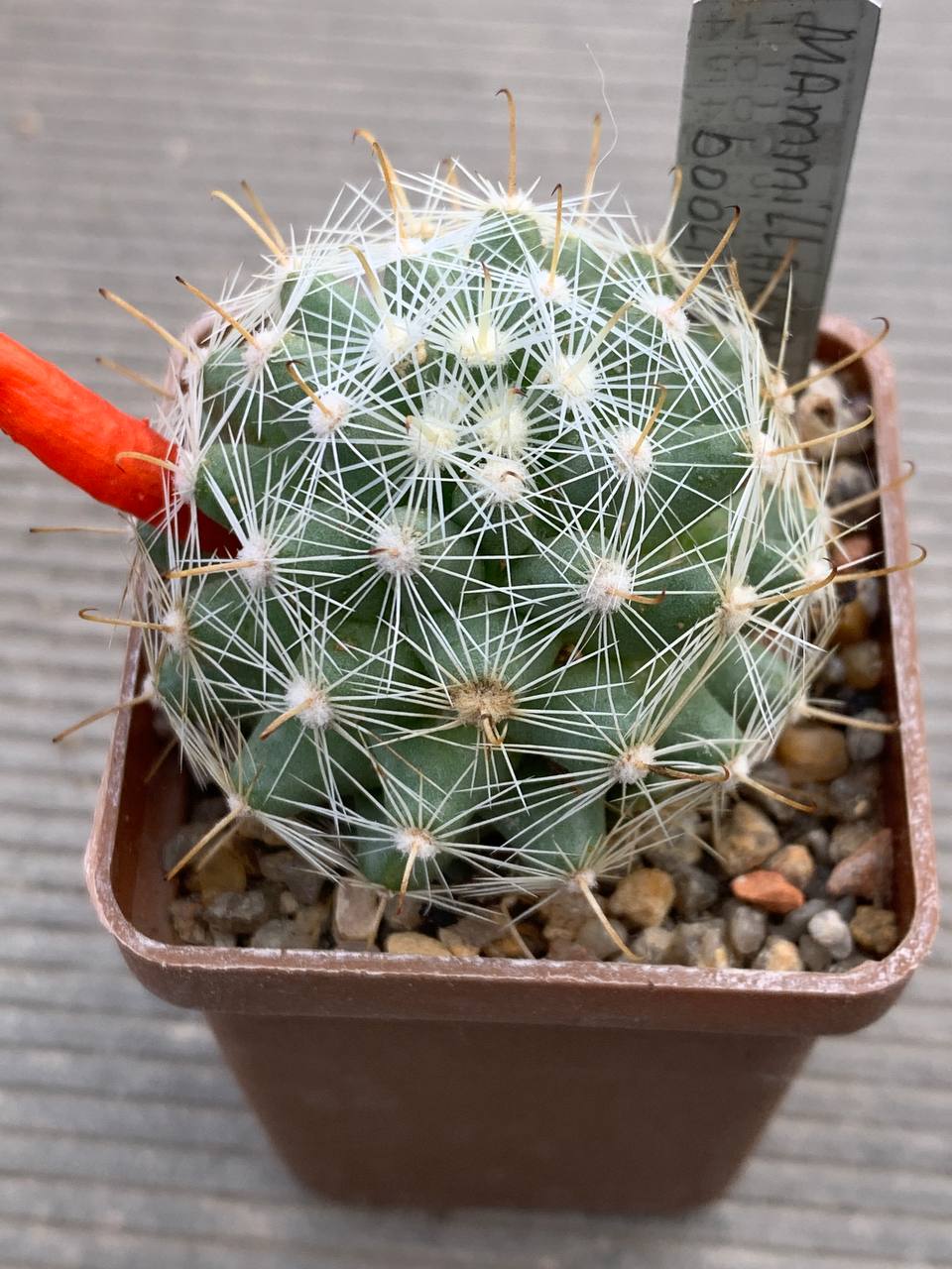 photo_16_2026-04-15_18-08-34 photo_16_2026-04-15_18-08-34