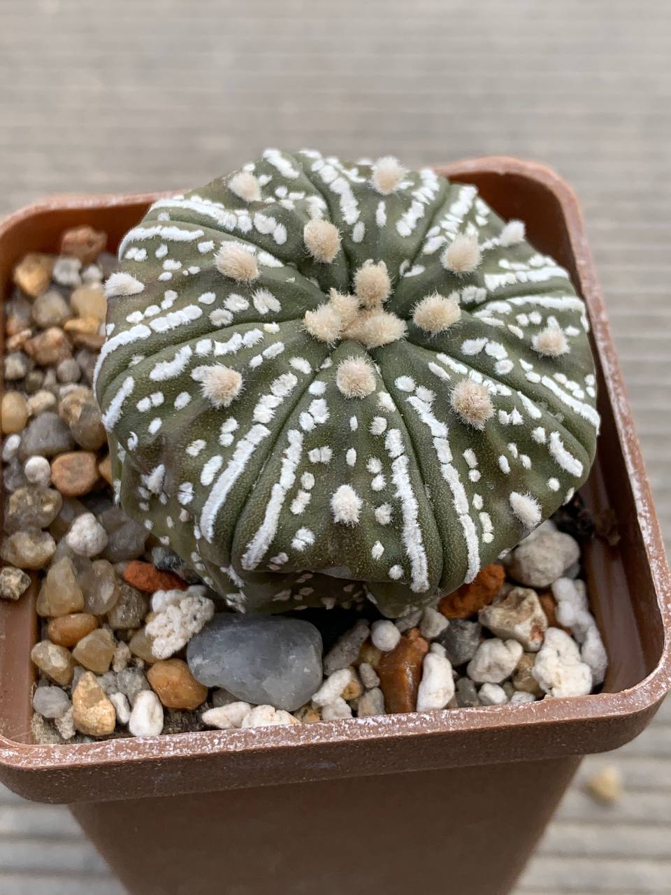 photo_18_2026-04-15_18-08-34 photo_18_2026-04-15_18-08-34