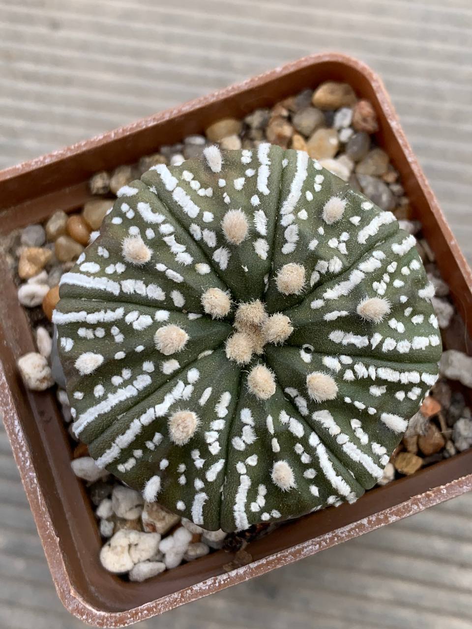 photo_19_2026-04-15_18-08-34 photo_19_2026-04-15_18-08-34