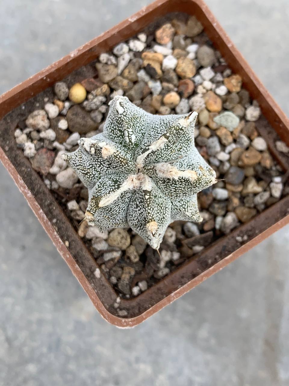 photo_21_2026-04-01_15-16-48