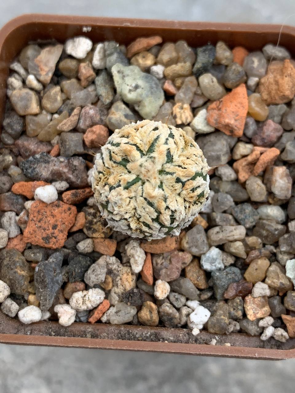 photo_23_2026-04-01_15-16-48