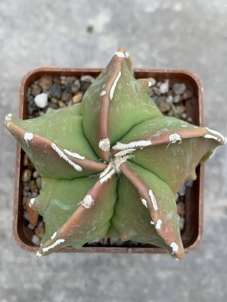 photo_27_2026-04-01_15-16-48