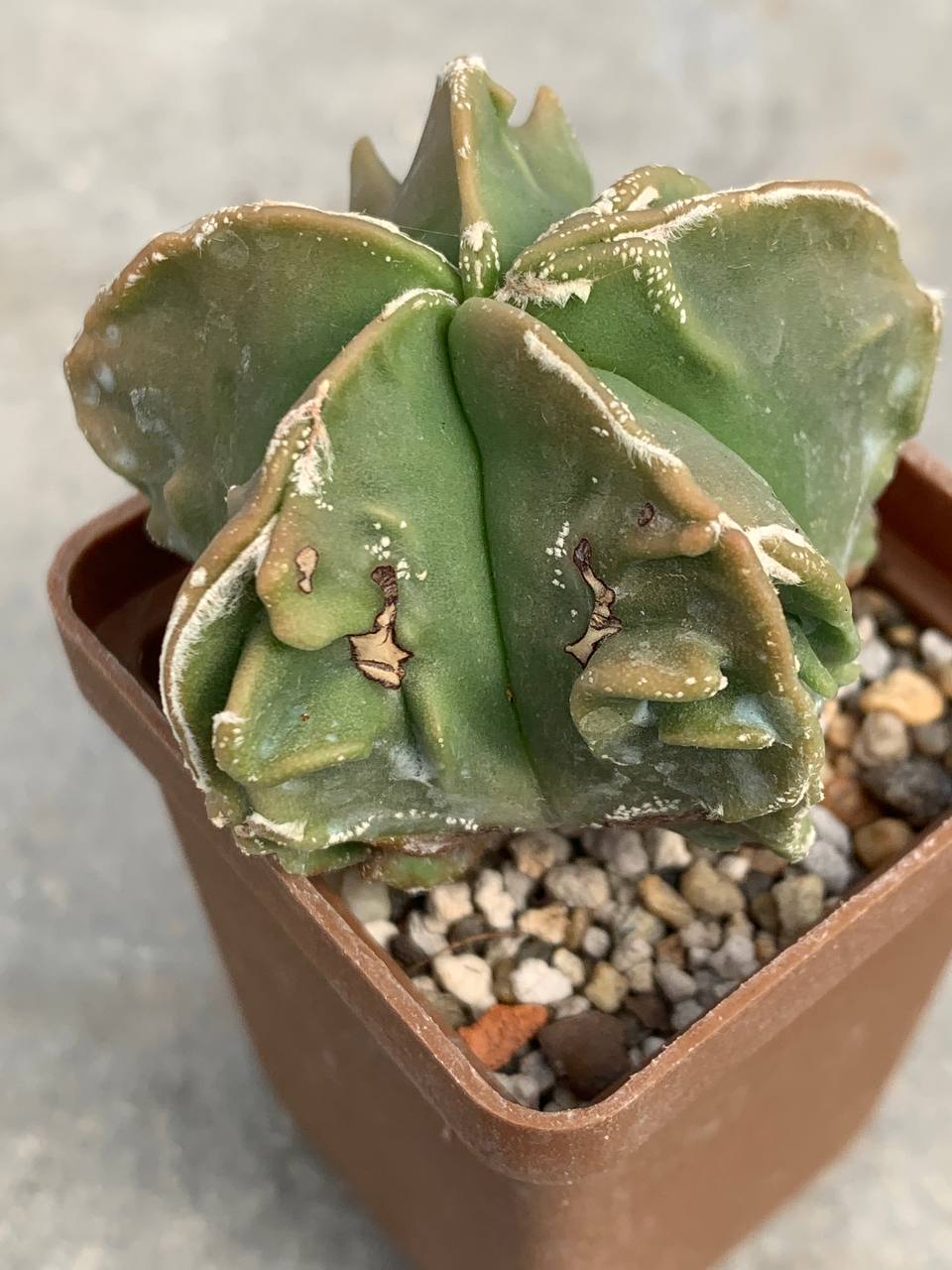 photo_2_2026-04-01_15-16-48 photo_2_2026-04-01_15-16-48