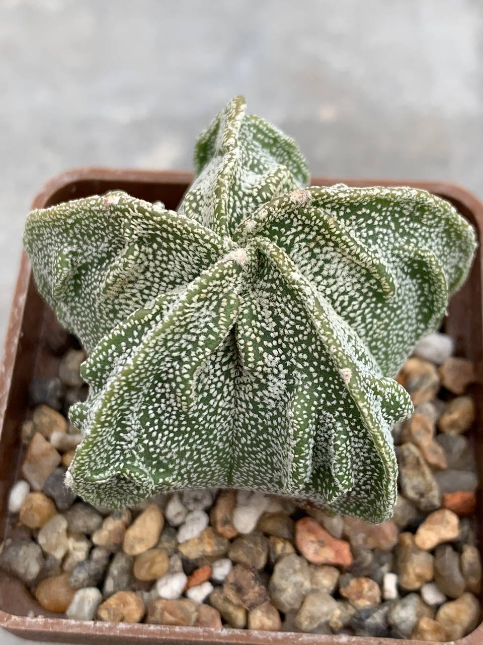 photo_30_2026-04-01_15-16-48