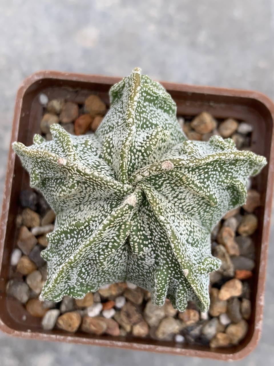 photo_31_2026-04-01_15-16-48