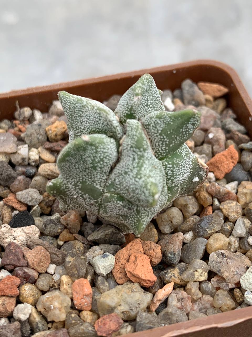 photo_33_2026-04-01_15-16-48