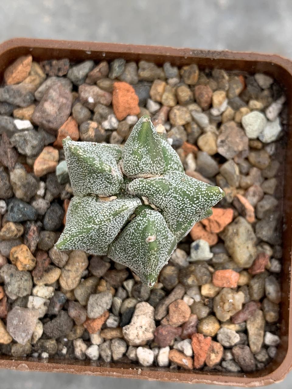 photo_34_2026-04-01_15-16-48