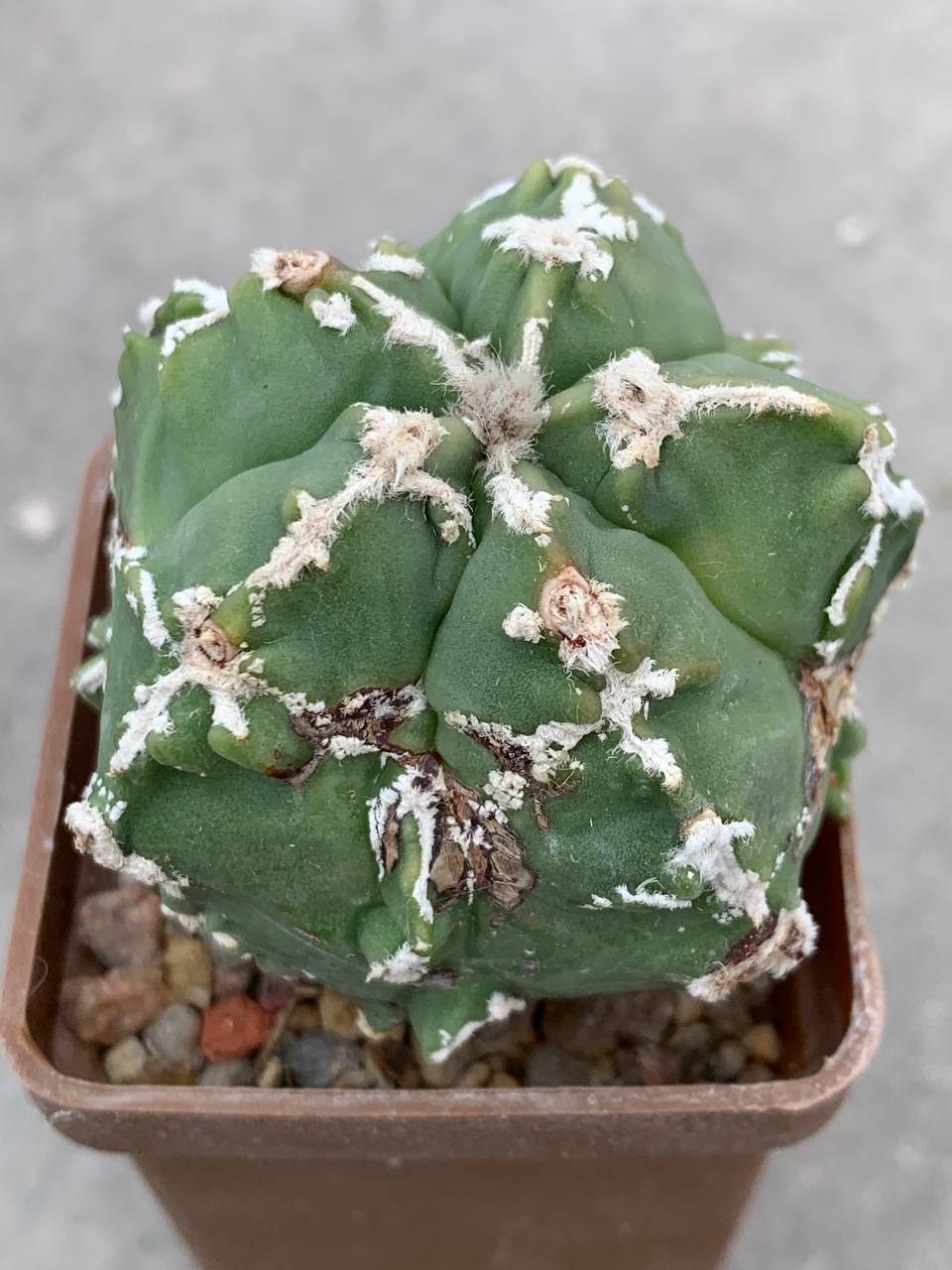 photo_35_2026-04-22_16-00-28