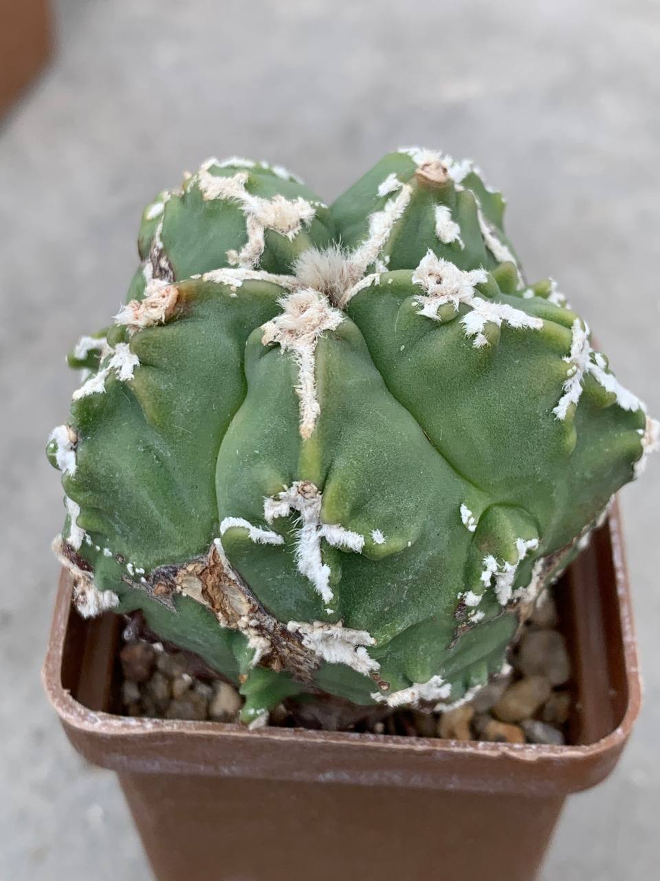 photo_36_2026-04-22_16-00-28