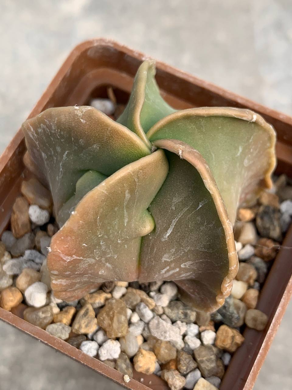 photo_37_2026-04-01_15-16-48