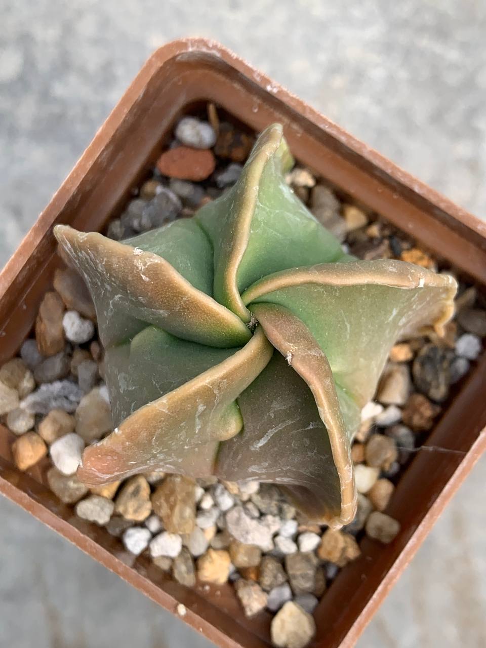 photo_38_2026-04-01_15-16-48