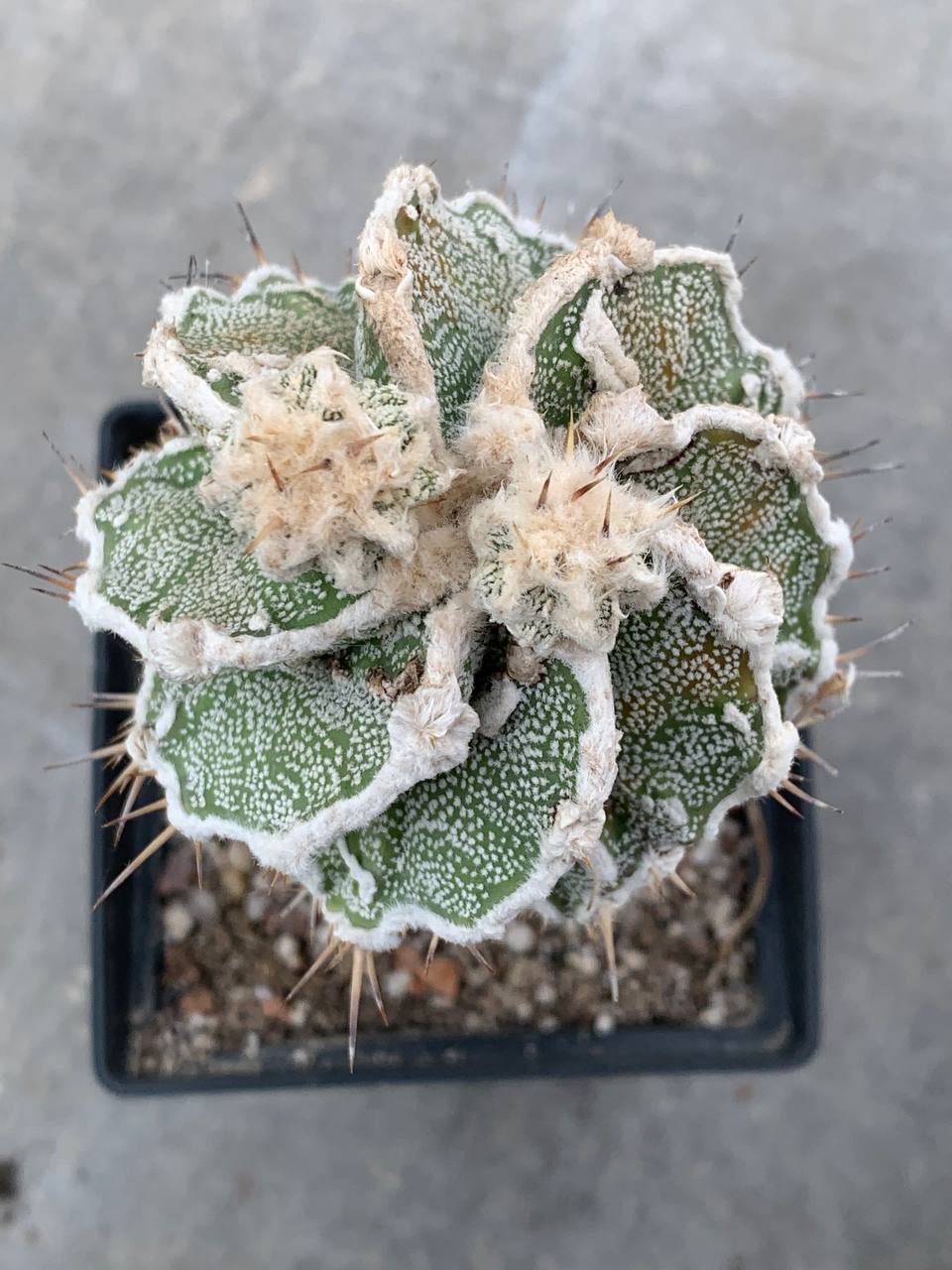 photo_39_2026-04-29_17-49-11