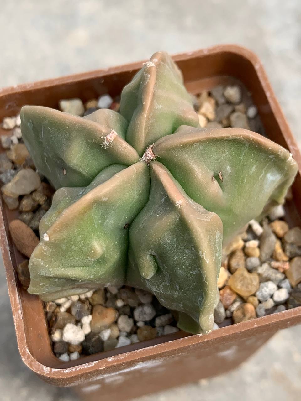 photo_40_2026-04-01_15-16-48