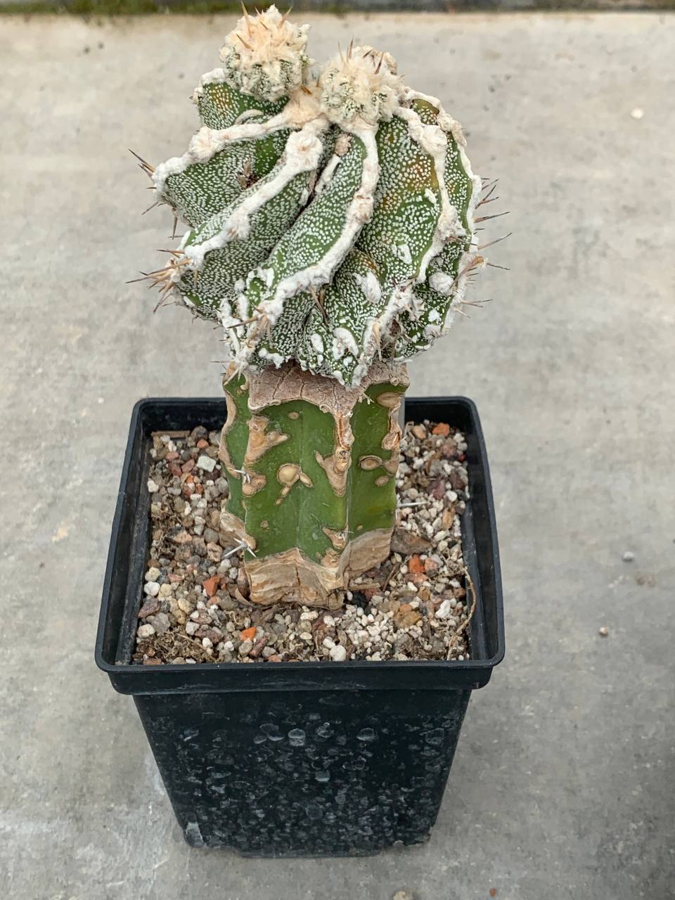 photo_40_2026-04-29_17-49-11