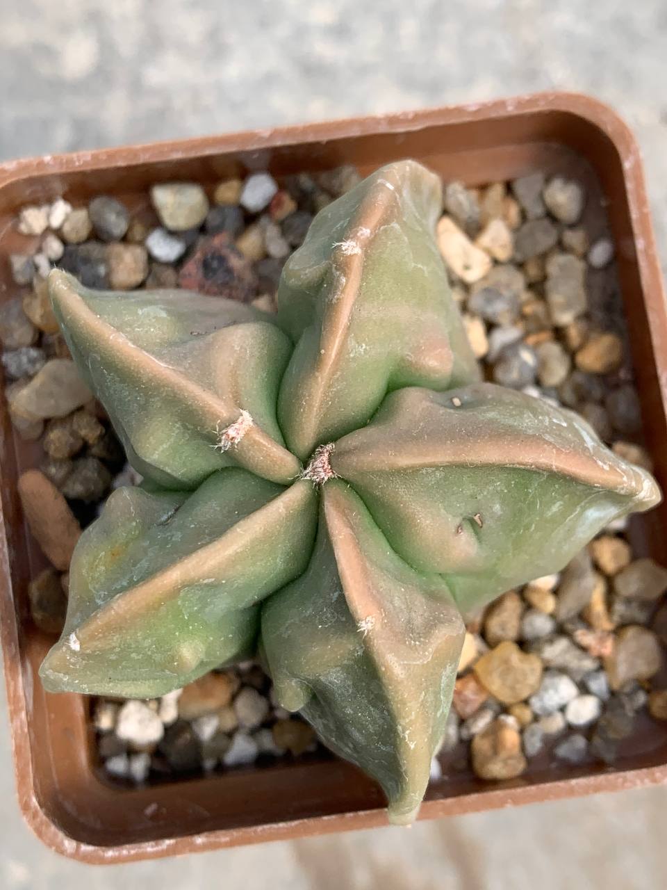 photo_41_2026-04-01_15-16-48