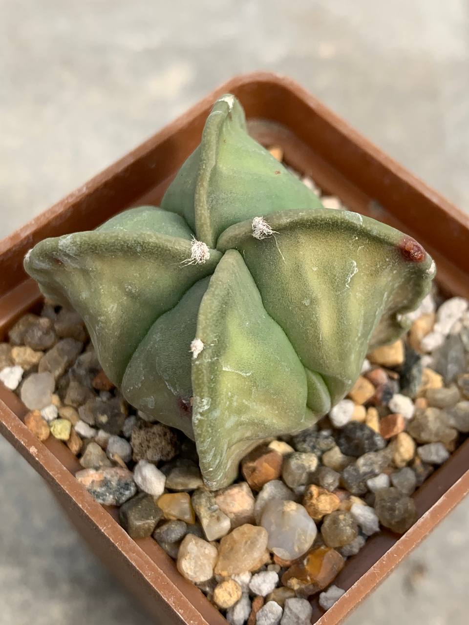 photo_43_2026-04-01_15-16-48