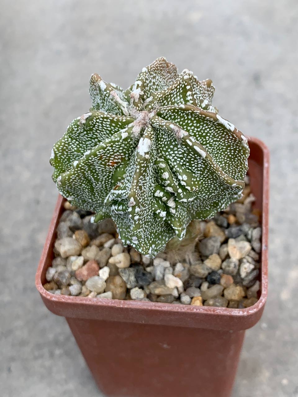 photo_43_2026-04-22_16-00-28