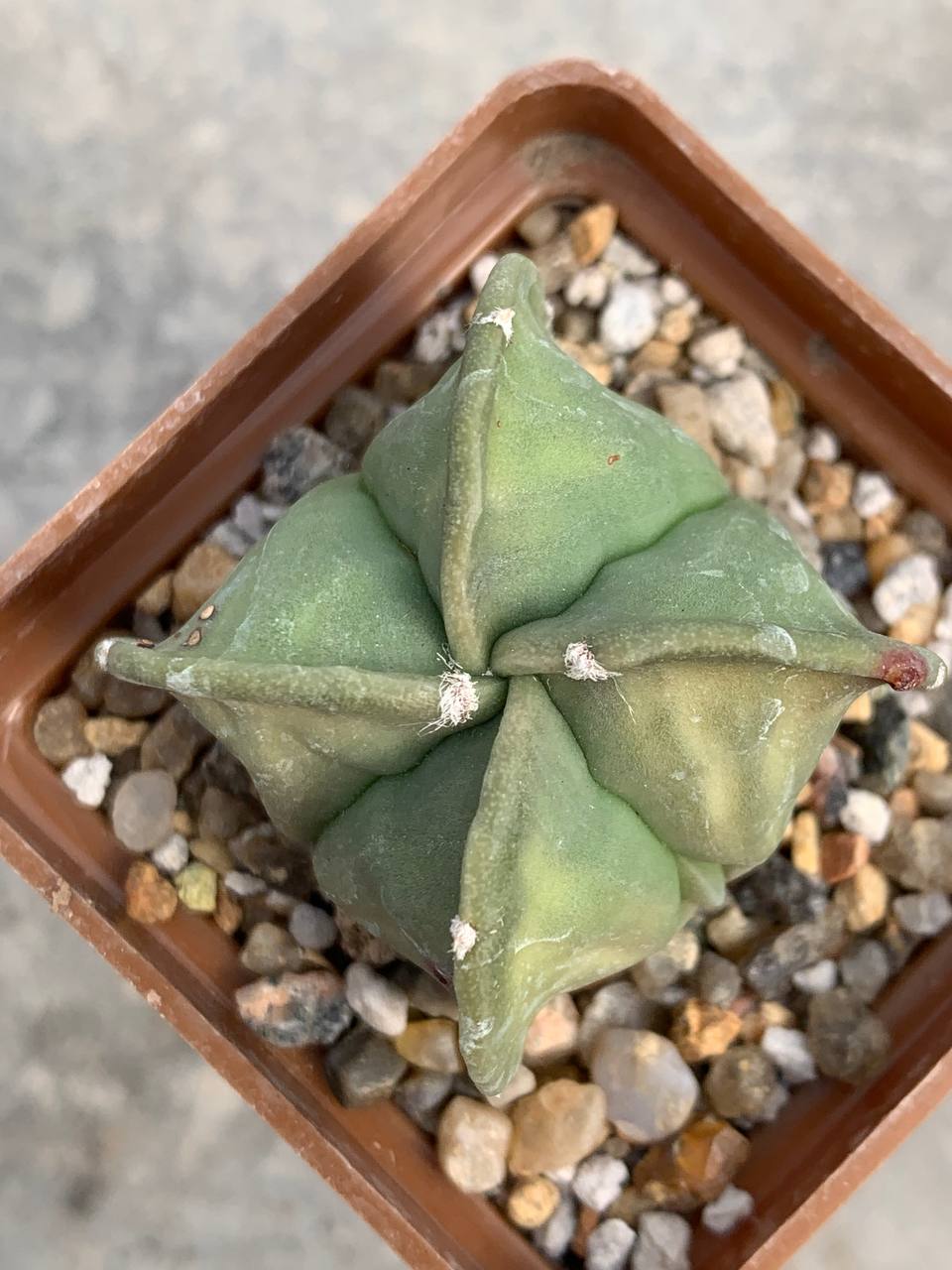 photo_44_2026-04-01_15-16-48