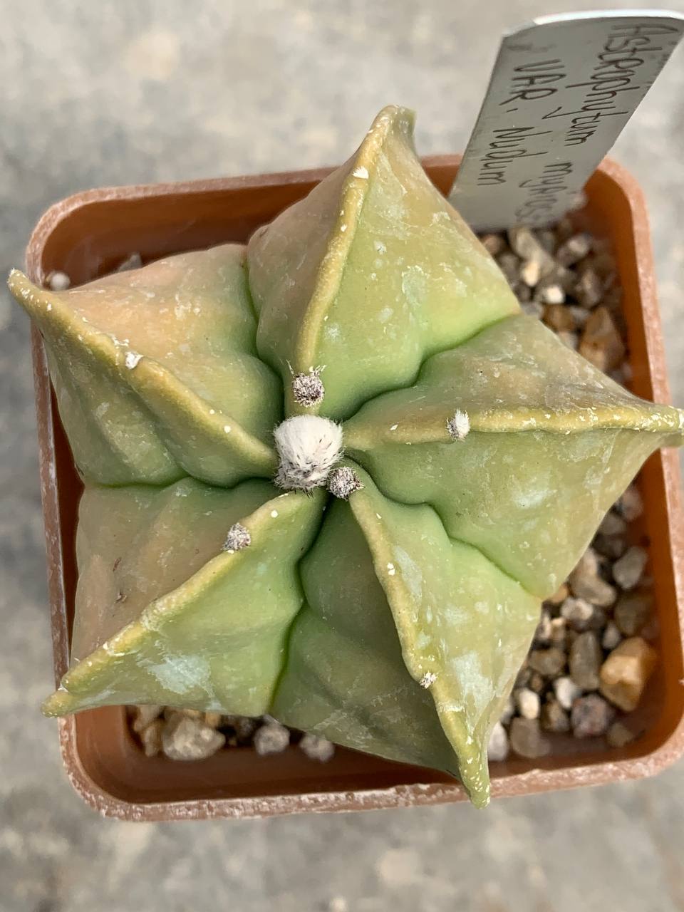 photo_46_2026-04-01_15-16-48