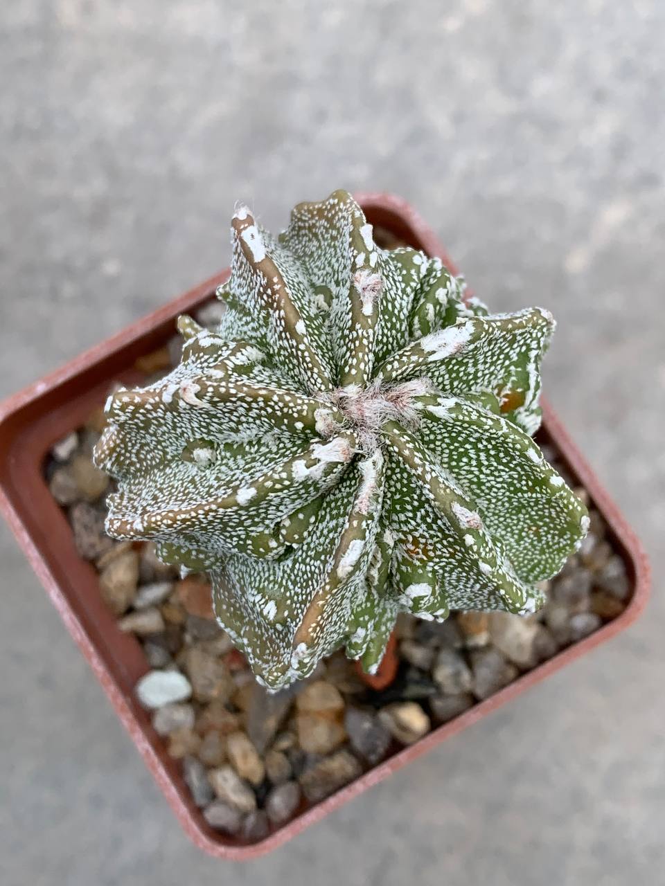 photo_46_2026-04-22_16-00-28