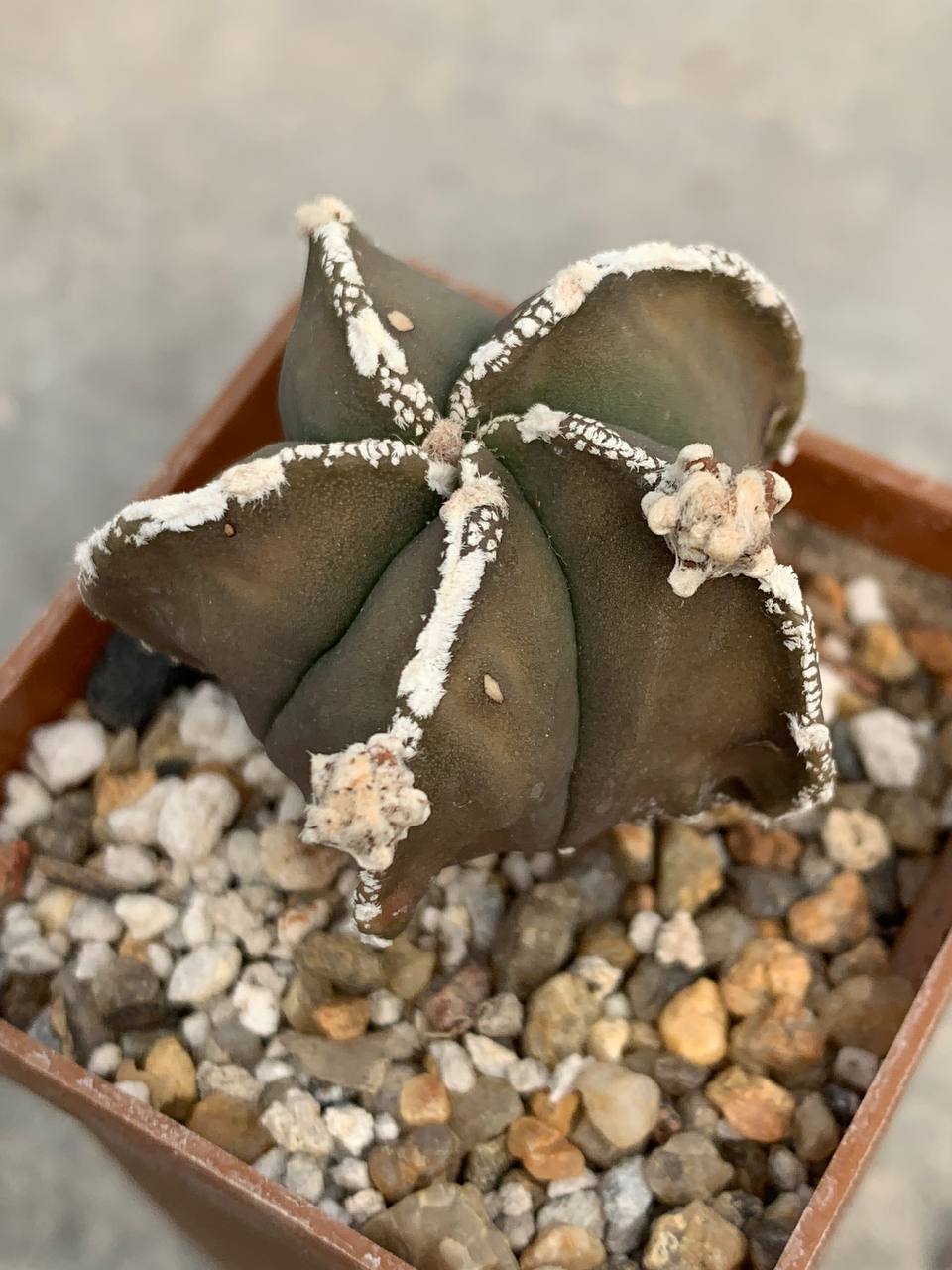 photo_48_2026-04-01_15-16-48