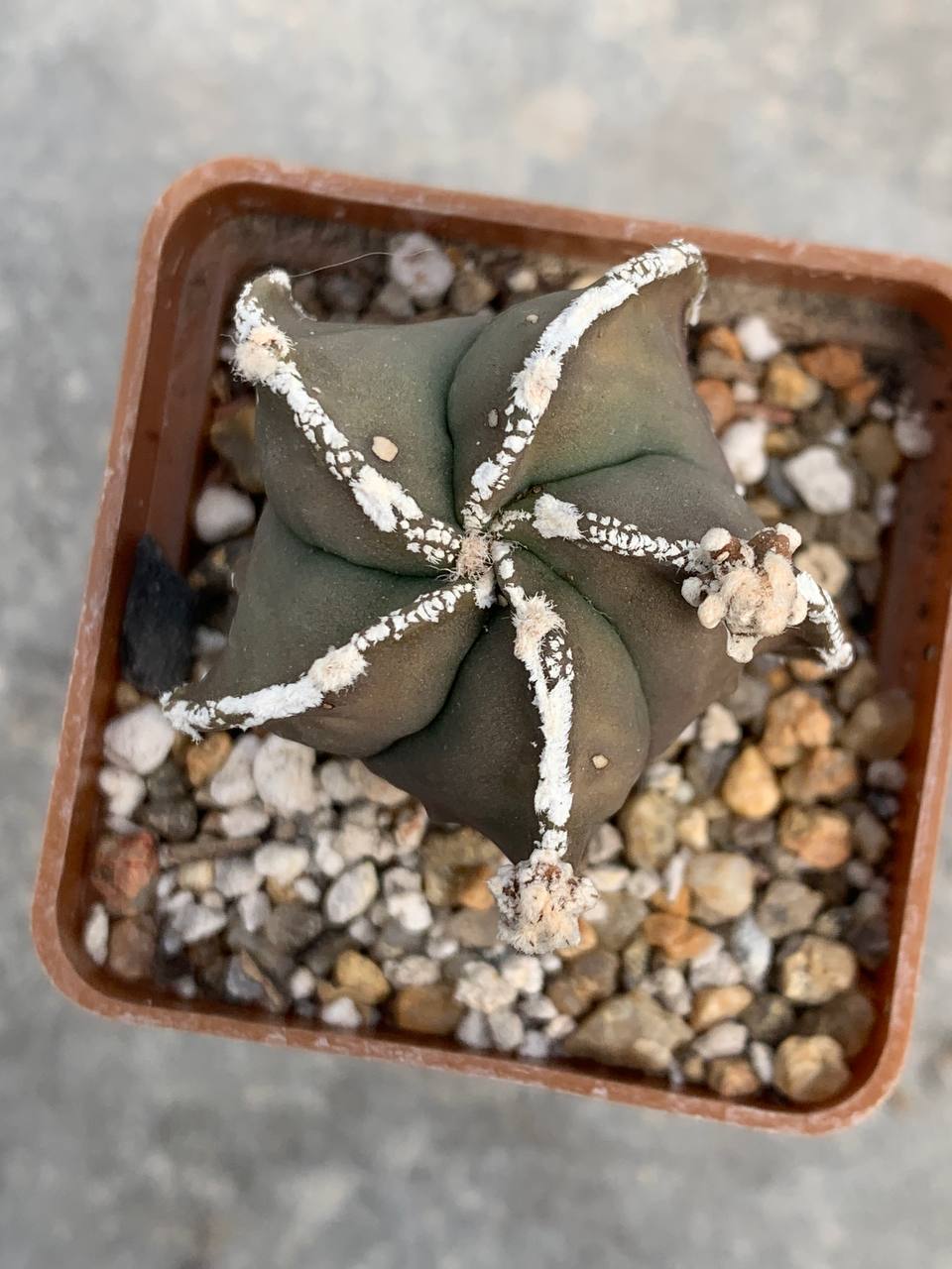 photo_49_2026-04-01_15-16-48