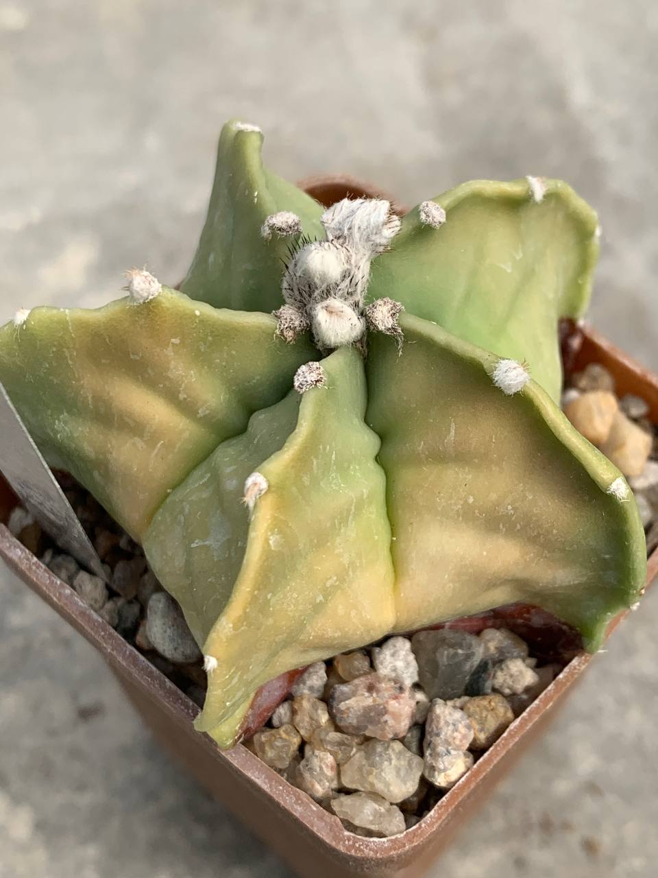 photo_51_2026-04-01_15-16-48