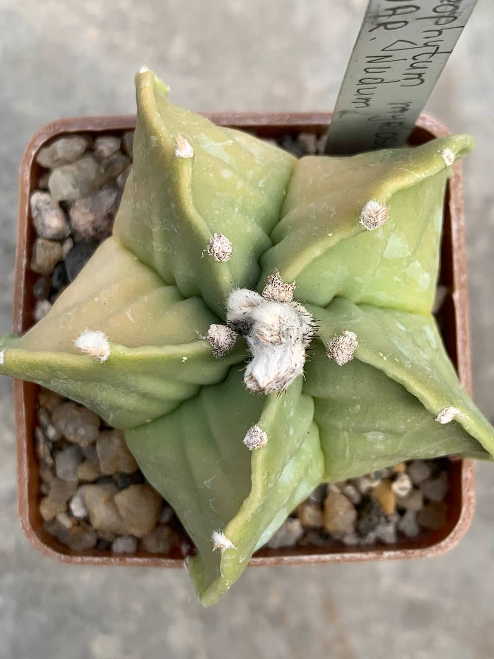 photo_52_2026-04-01_15-16-48