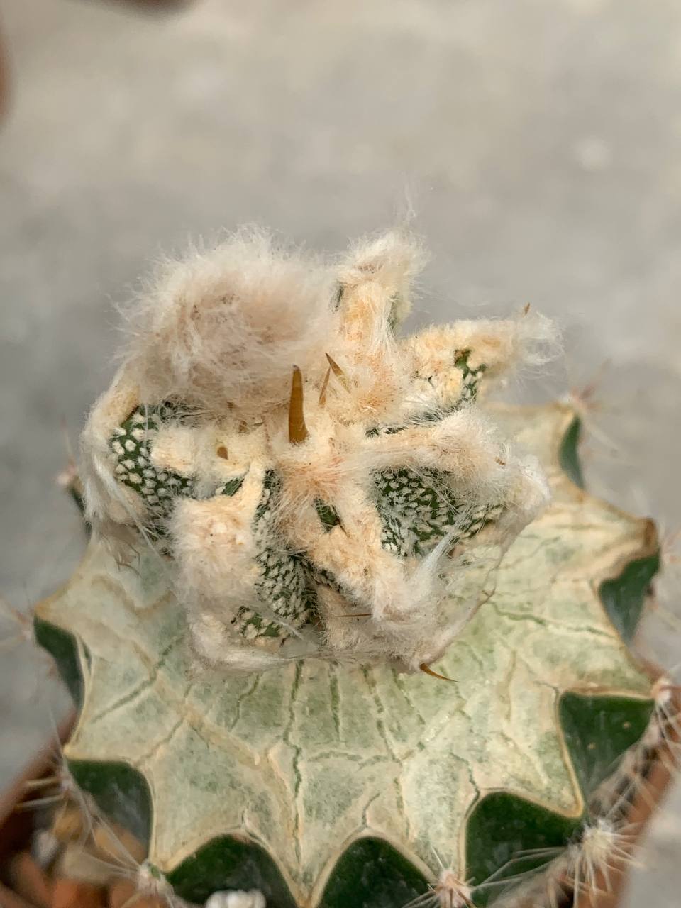 photo_59_2026-04-01_15-16-48