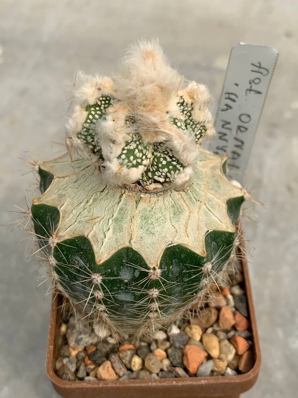 photo_61_2026-04-01_15-16-48