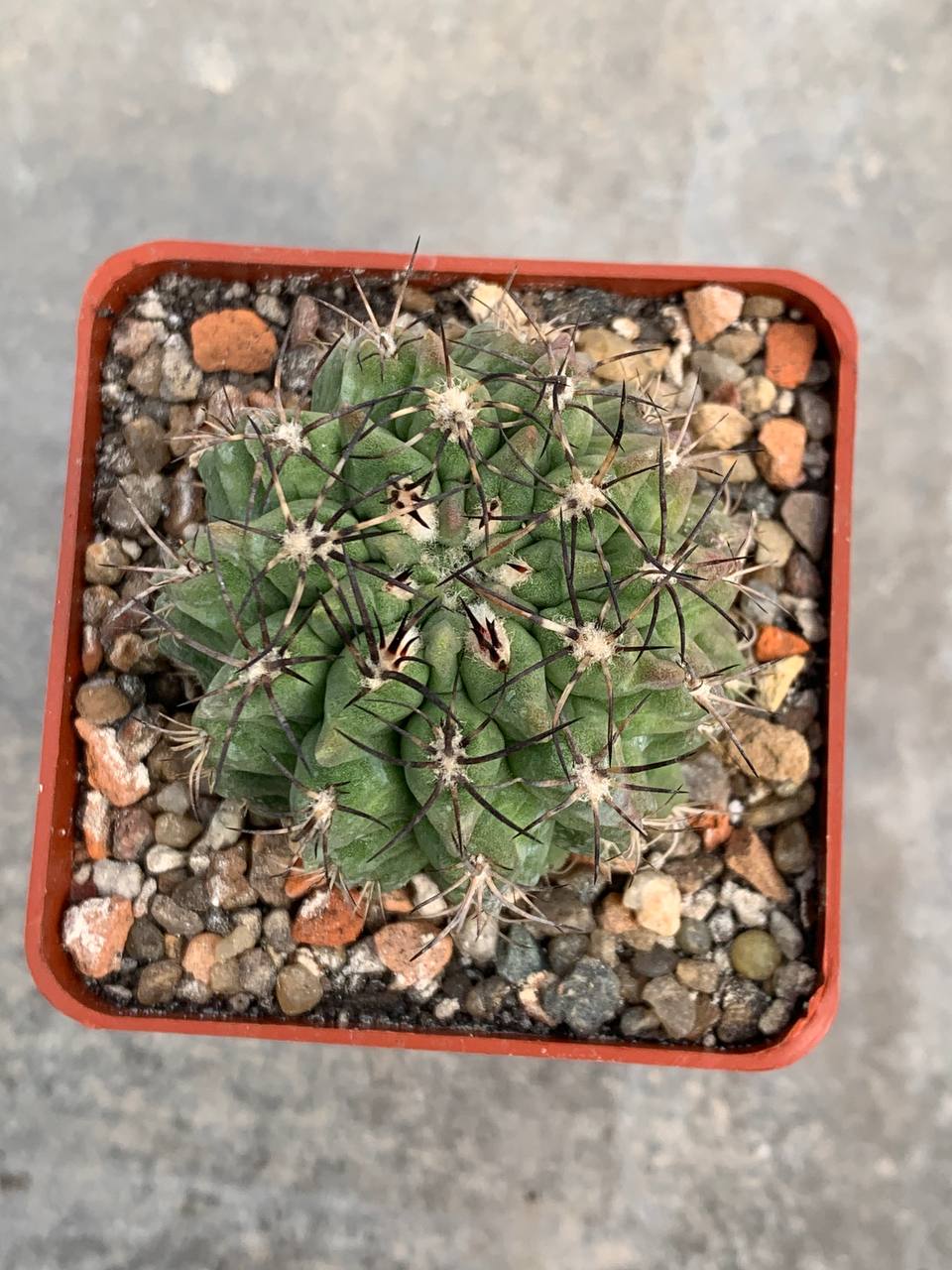 photo_63_2026-04-01_15-16-48