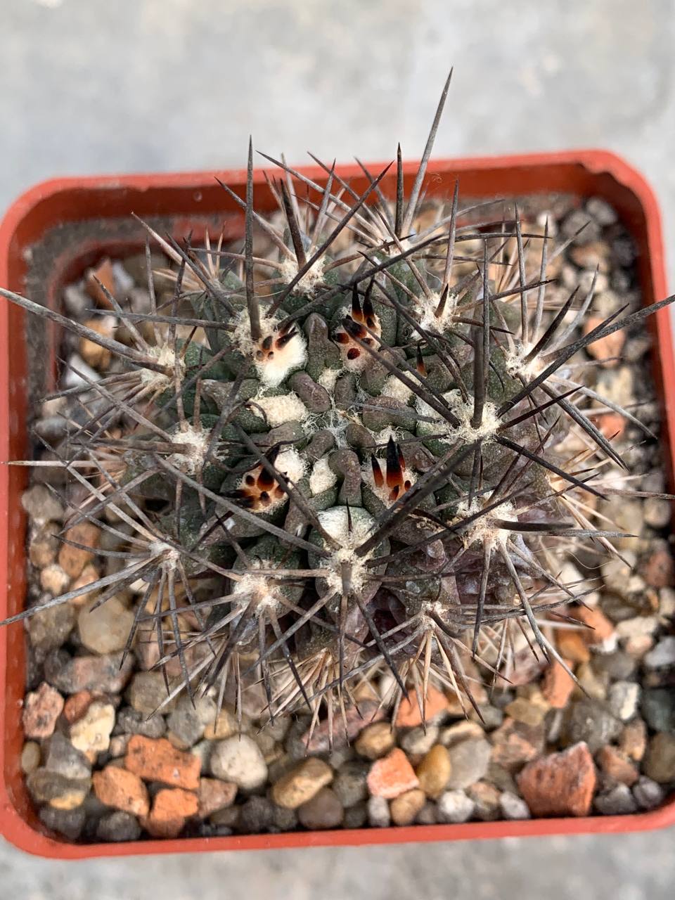 photo_67_2026-04-01_15-16-48