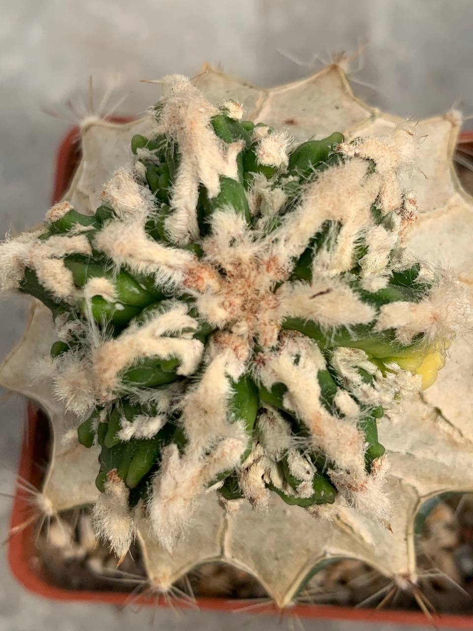 photo_69_2026-04-01_15-16-48