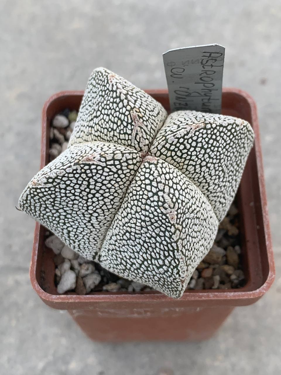 photo_8_2026-04-08_17-05-46 photo_8_2026-04-08_17-05-46