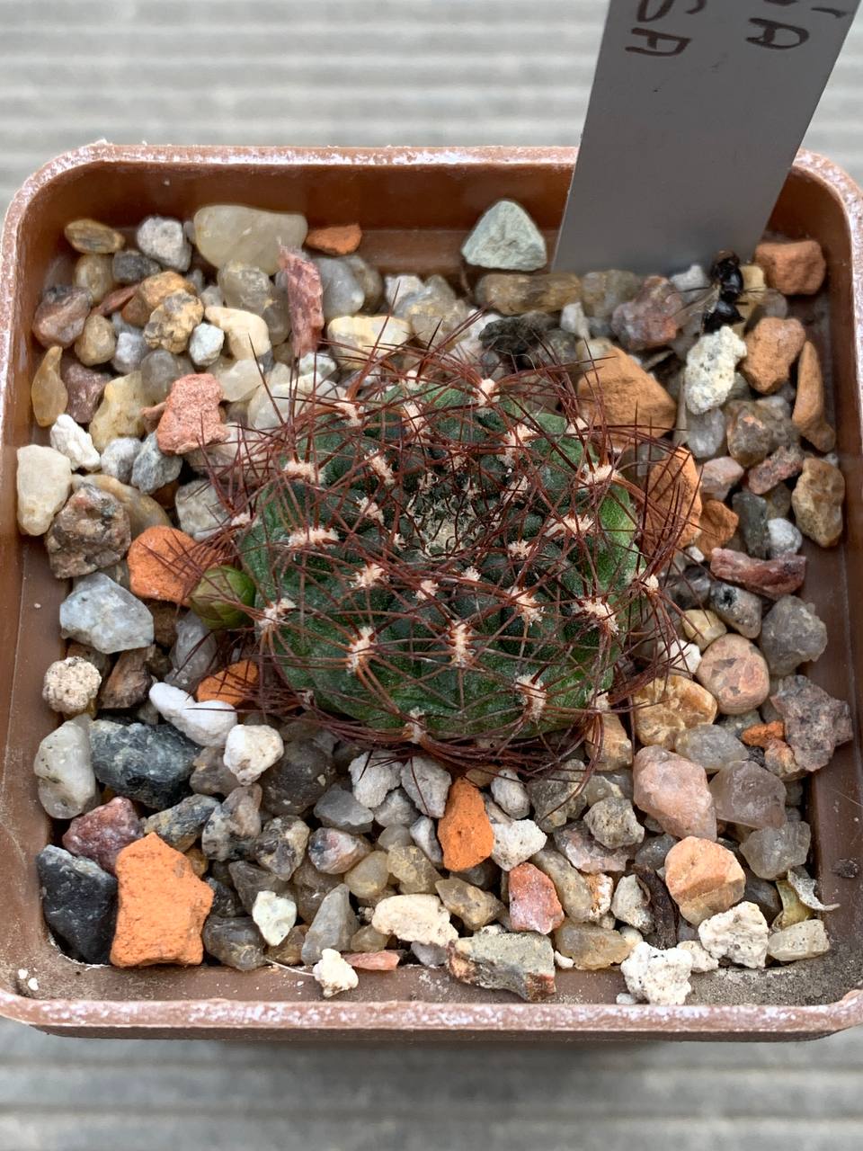 photo_8_2026-04-15_18-08-34 photo_8_2026-04-15_18-08-34