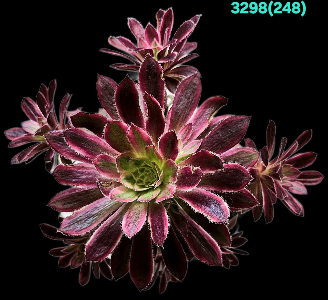 3298-1