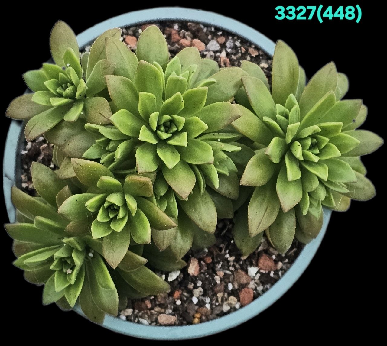 3327-1