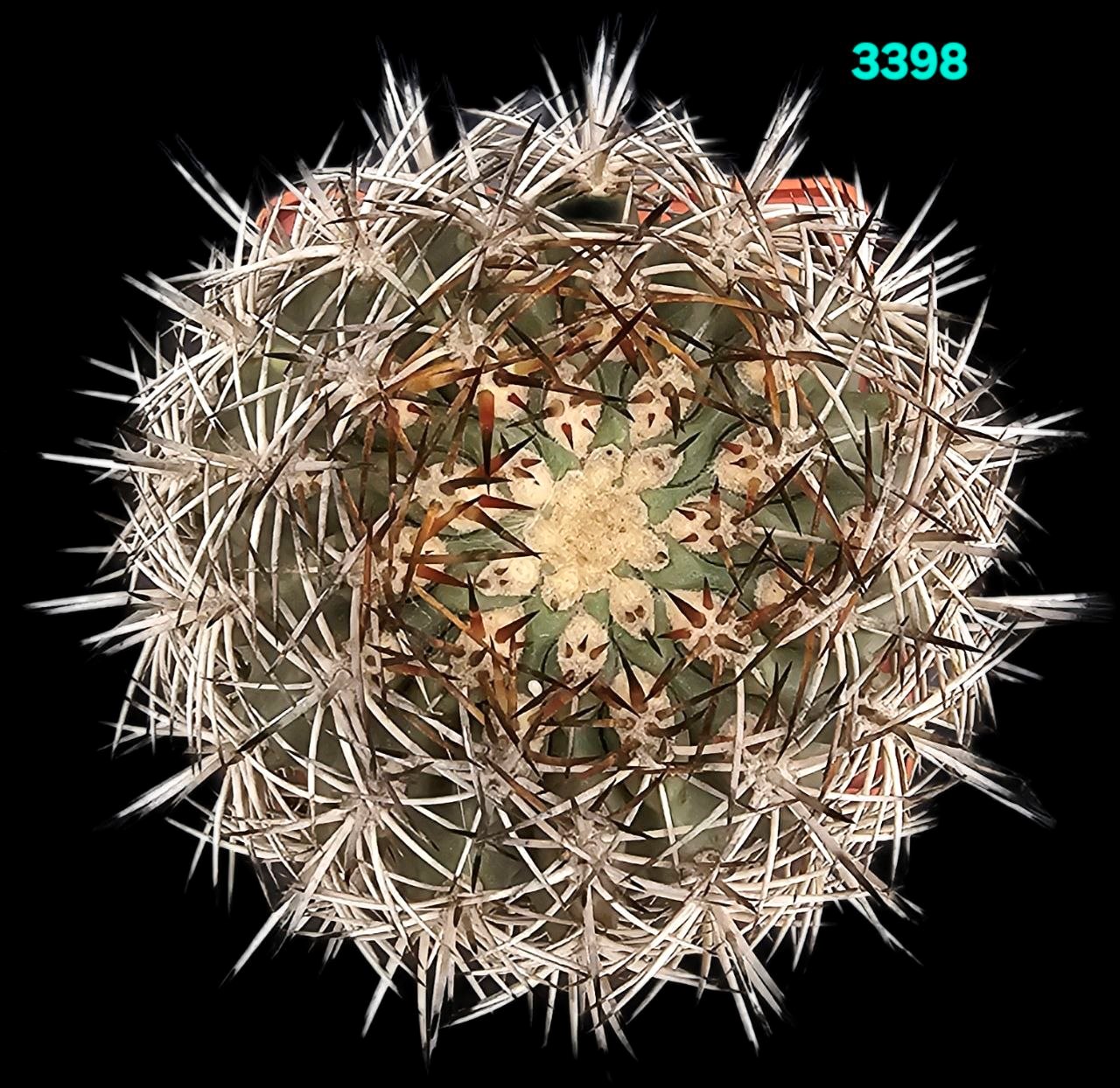 3398-1