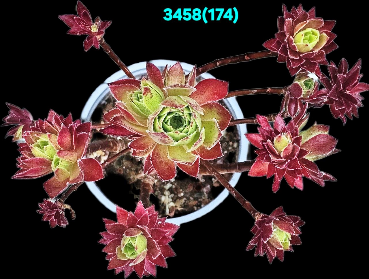 3458-1