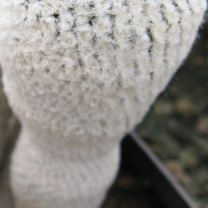Thelocephala chalensis RS2317 насіння