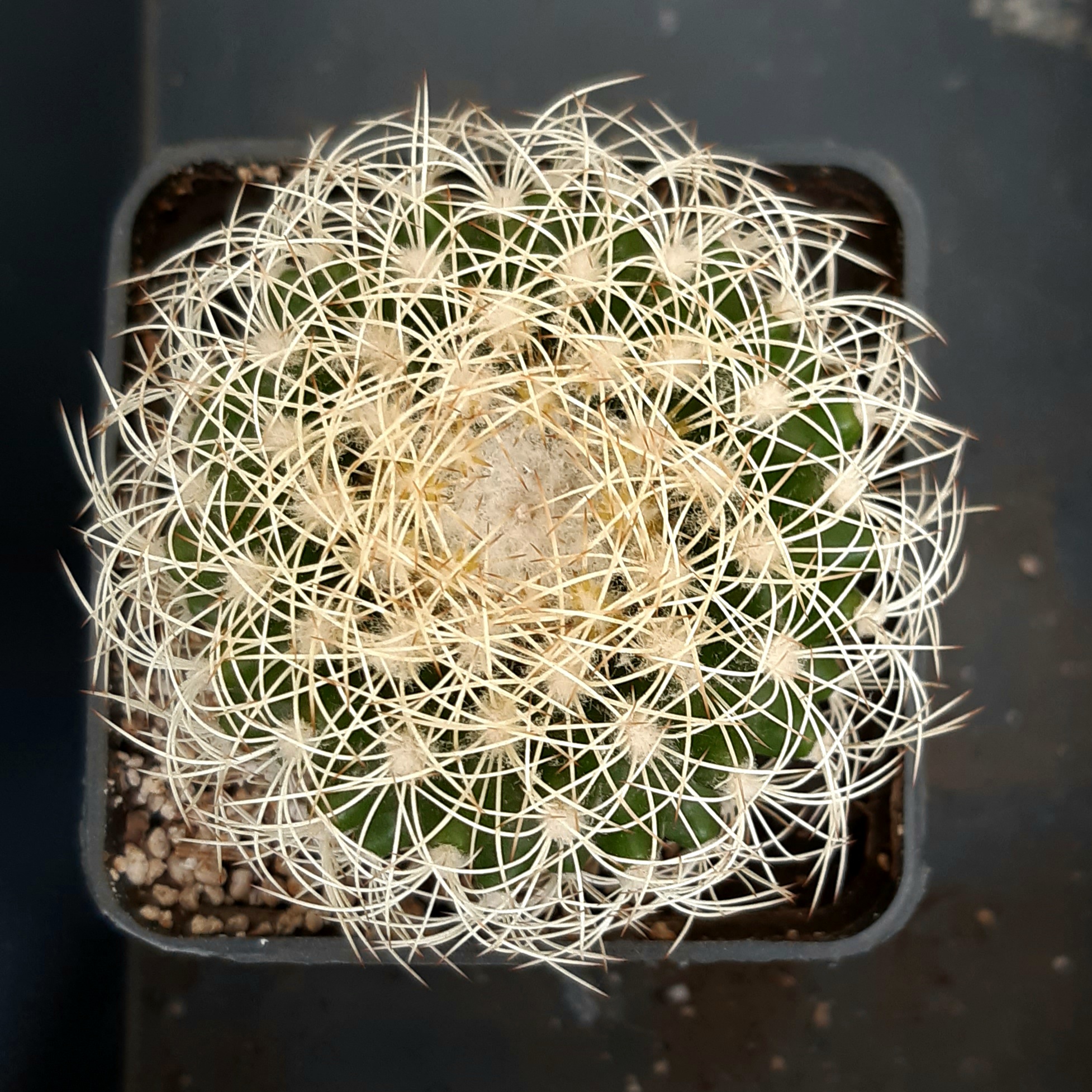 20260723_161819