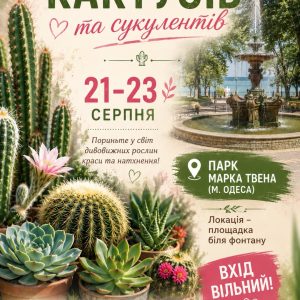 Выставка